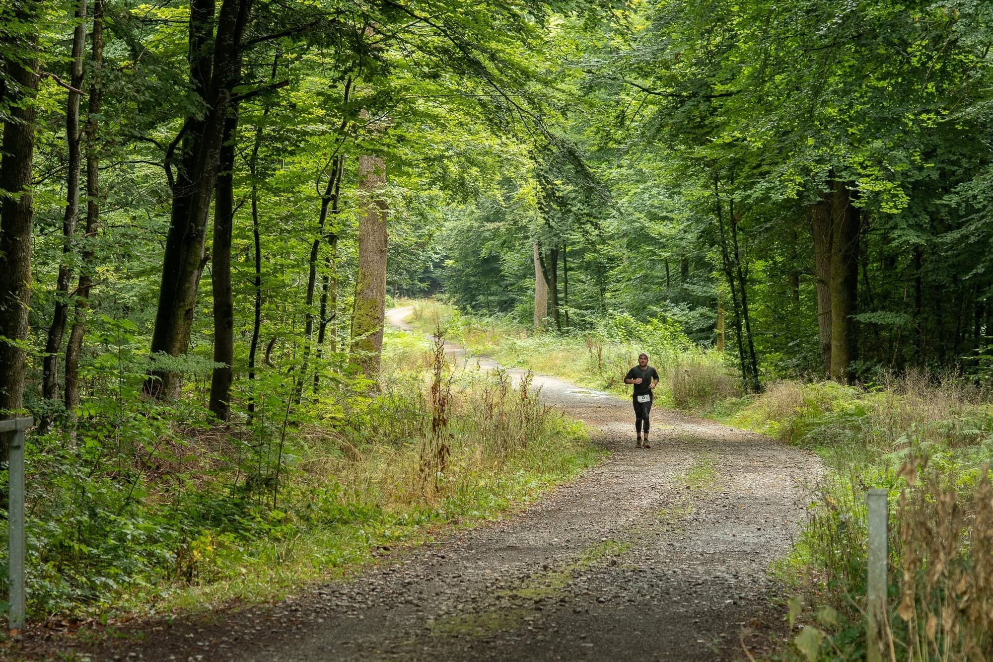 La Traversée Verte : photo 4