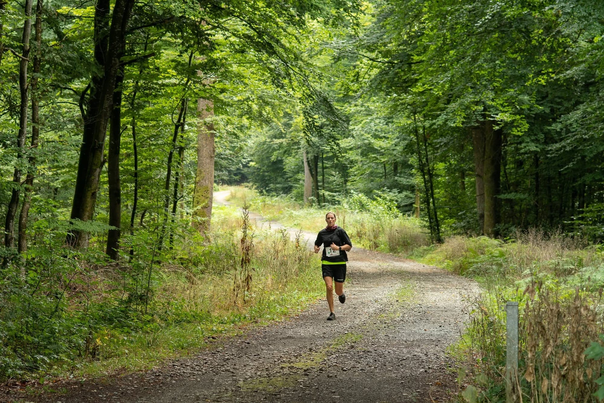 La Traversée Verte : photo 7