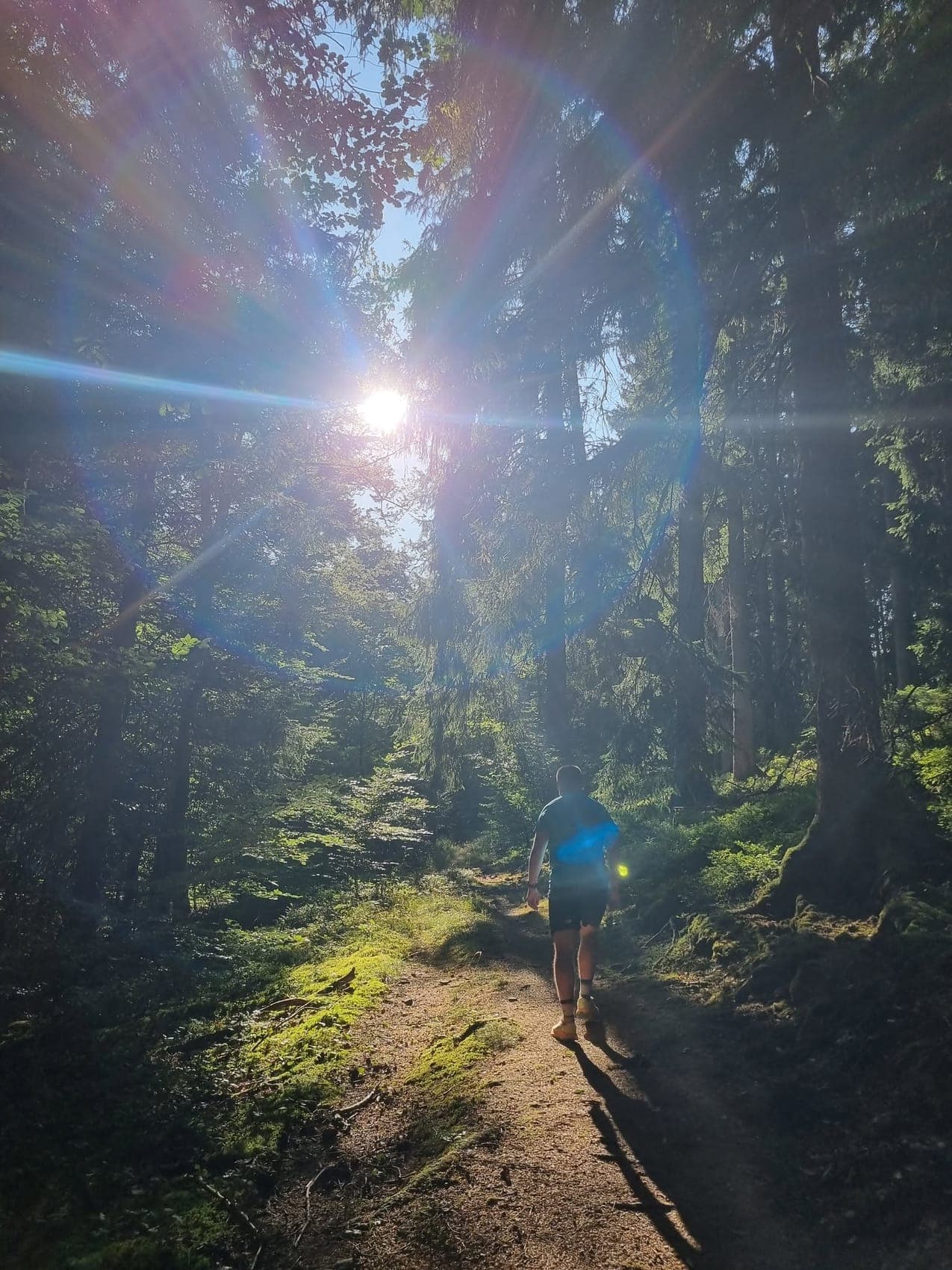 Un coureur de dos sur un sentier en forêt, le soleil perçant entre les arbres